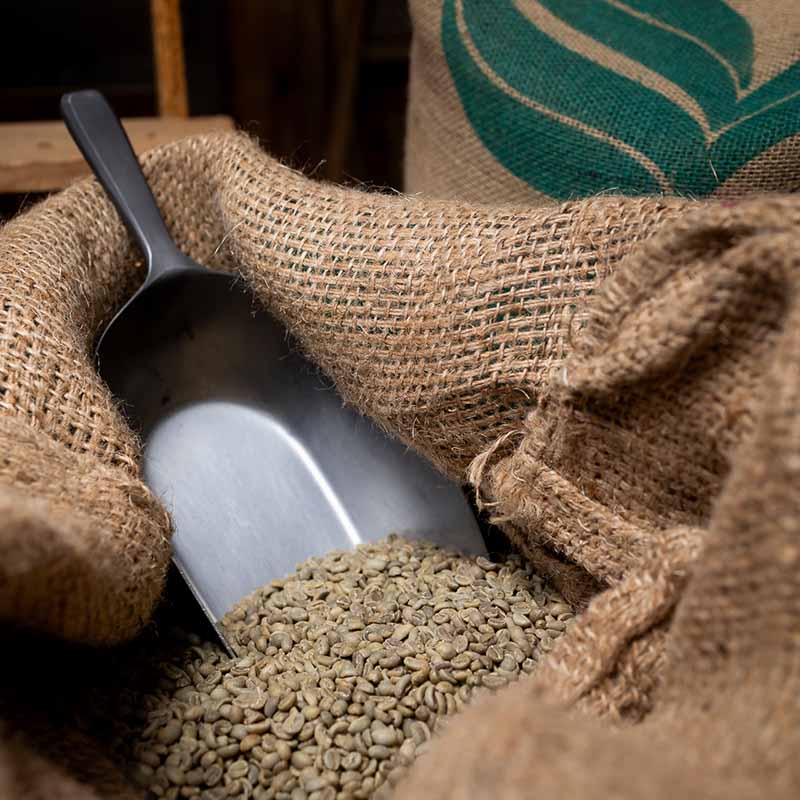 Photo artisan Marseille : grains de café vert dans un sac en toile de jute avec une pelle en métal chez un torréfacteur.