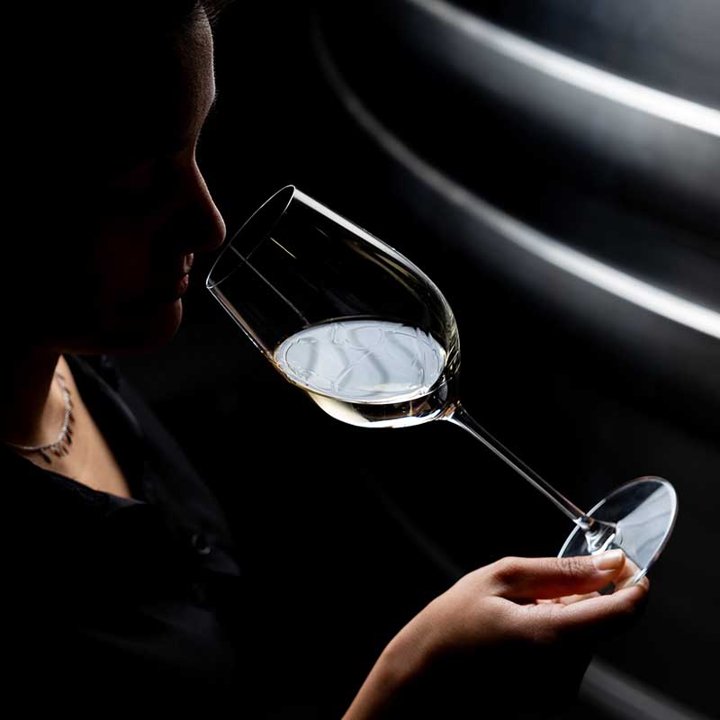 Photo artisan Marseille : profil d'une sommelière dégustant un verre de vin blanc dans la pénombre d'un chai en Provence.