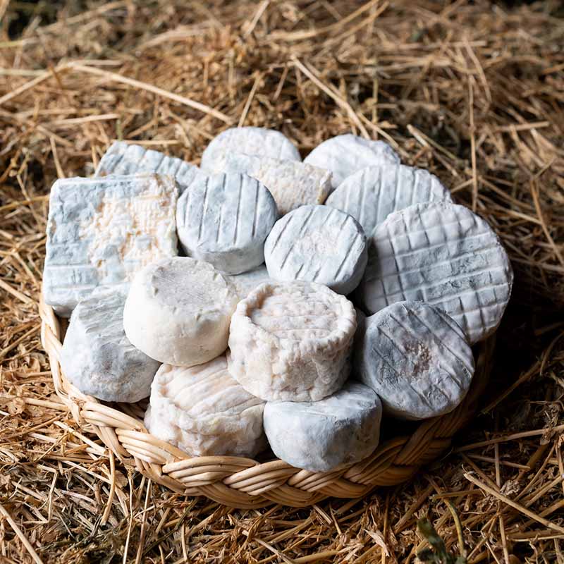 Photo agriculture Marseille : assortiment de fromages de chèvre artisanaux présentés dans un panier d'osier sur de la paille.